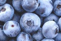 Blueberries: 7 Science-Backed Benefits for Brain and Heart
