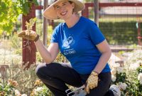 Natural Weed Control Guide for Gardens and Lawns