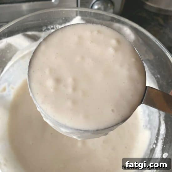 A closeup of the gluten-free sourdough discard.