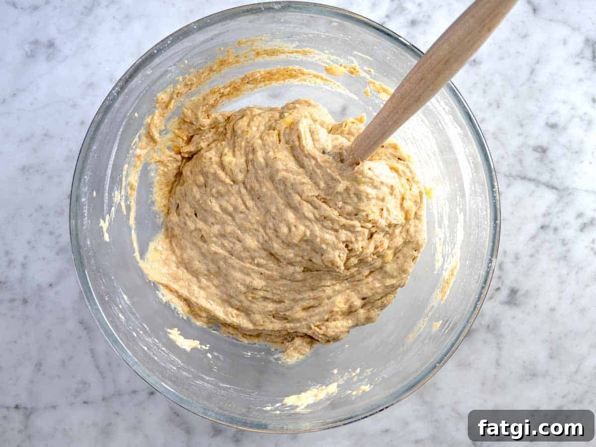 dry ingredients mixed with the wet