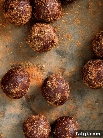 Raw Chocolate Omega Bliss Balls