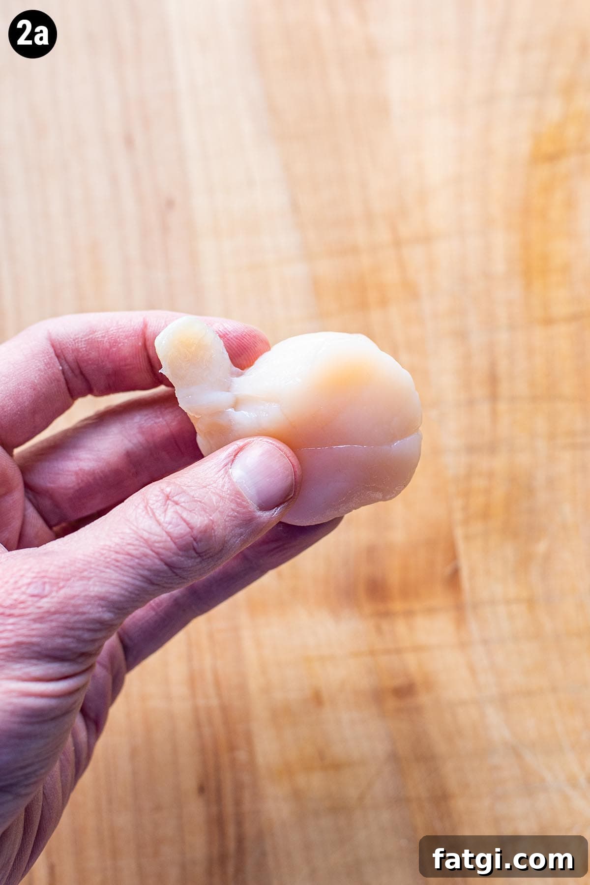 Sweet and Smoky Bacon Wrapped Scallops Recipe 4 Hand holding a raw scallop with the side muscle coming off the body of the scallop.