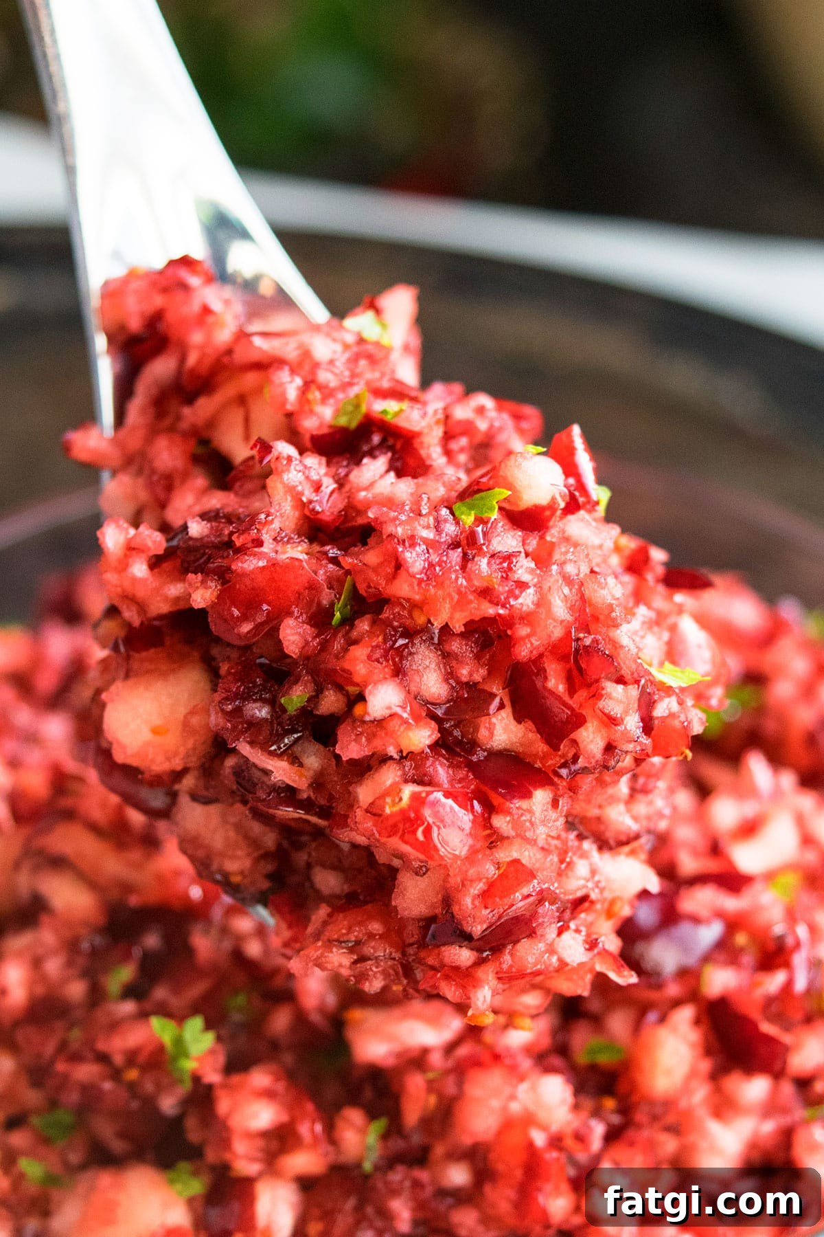 Close-up of a spoonful of cranberry relish.