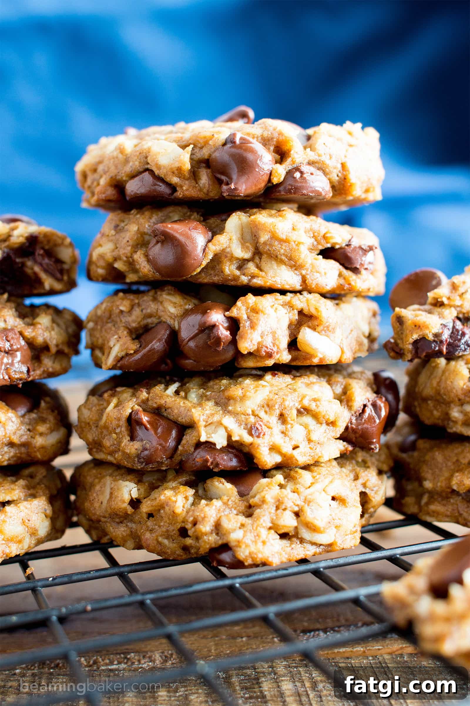Easy Gluten Free Peanut Butter Chocolate Chip Oatmeal Cookies: lightly crisp, chewy peanut butter oatmeal cookies with chocolate chips. Vegan, gluten-free, dairy-free.