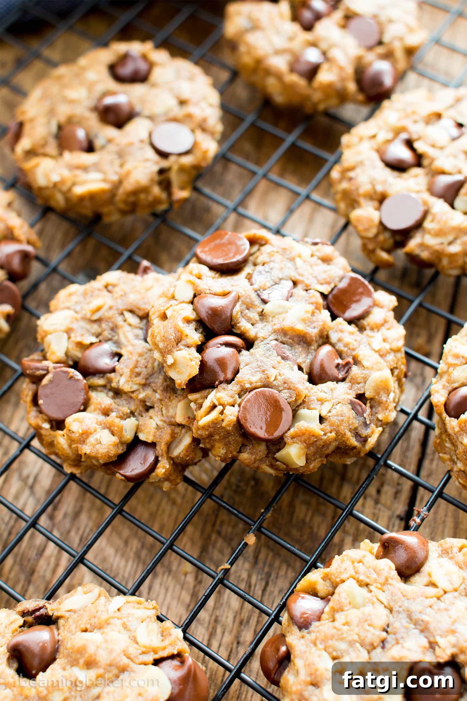 Gluten free peanut butter chocolate chip oatmeal cookies with a crisp outside and chewy center.