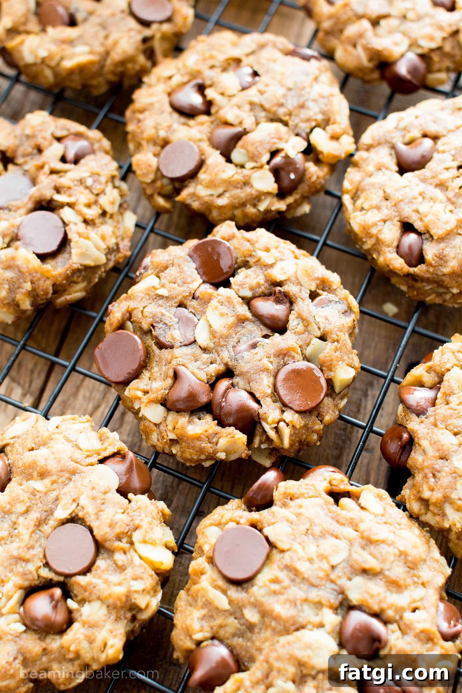 Chewy gluten free oatmeal cookies with peanut butter and chocolate chips.