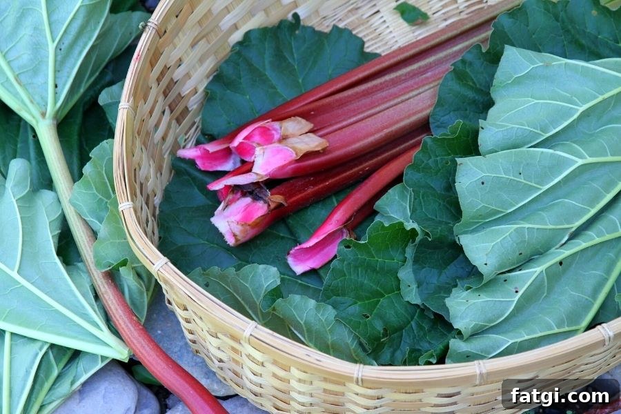 A basket of red rhubarb and leaves
