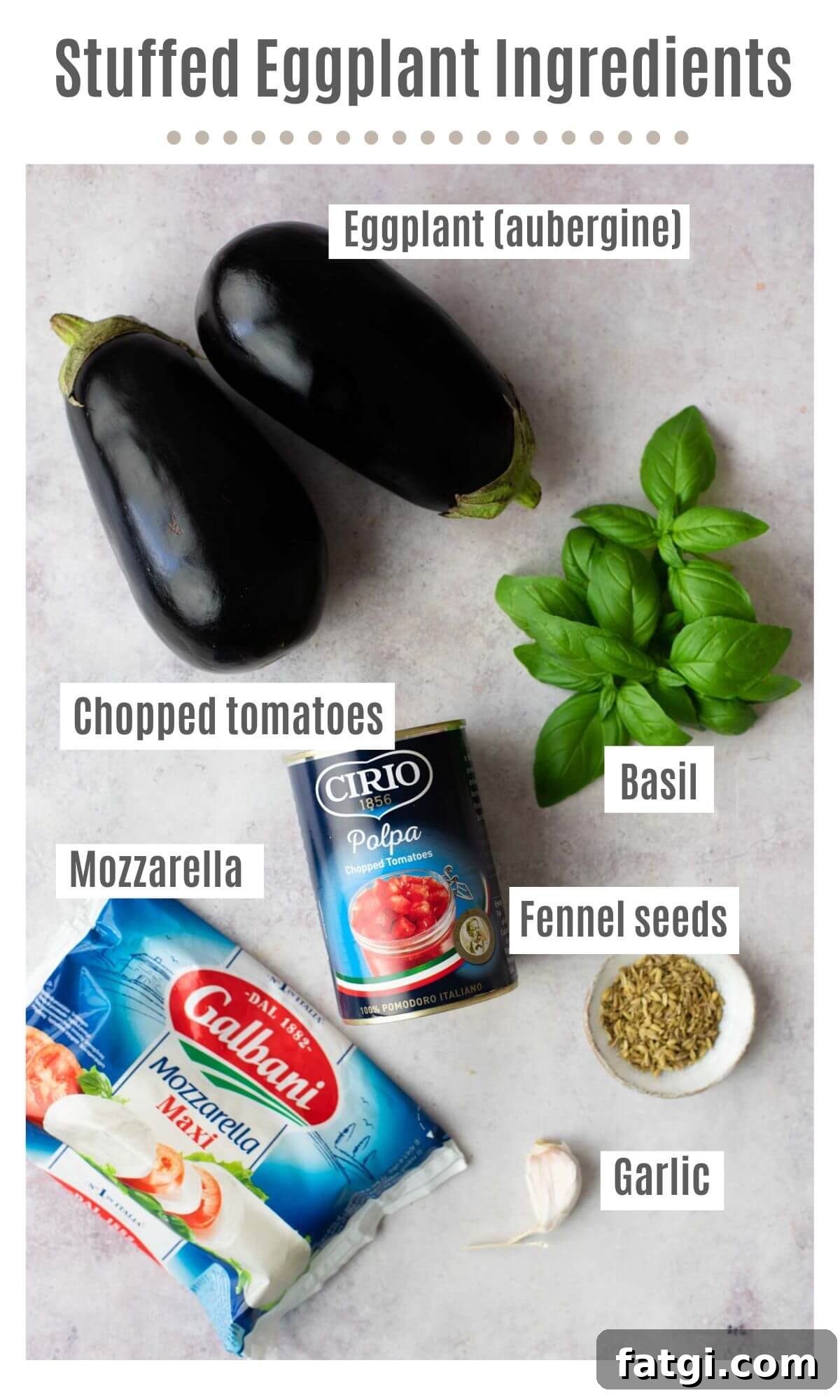 Italian Stuffed Eggplant Recipe with Mozzarella and Tomato 3 An overhead shot of ingredients; eggplants, fresh basil, chopped tomatoes, mozzarella, fennel seeds and garlic.