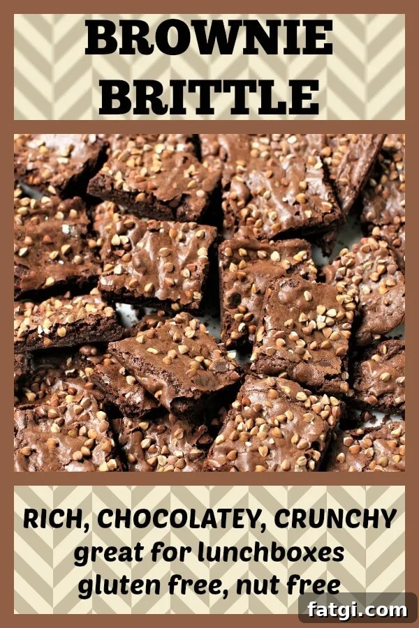 Crunchy, chocolatey Buckwheat Brownie Brittle is just the thing to pop into lunchkits or take along on picnics. It's the best kind of sweet treat - a little decadent and a little bit healthy (gluten free & nut free for great school lunches).
