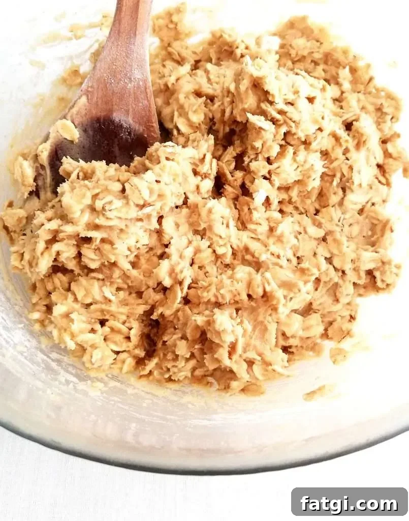 oatmeal cookie dough in bowl close up