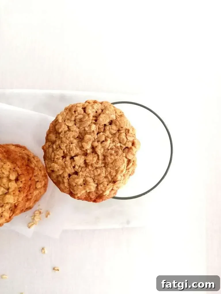 oatmeal cookie balanced on glass of milk overhead image