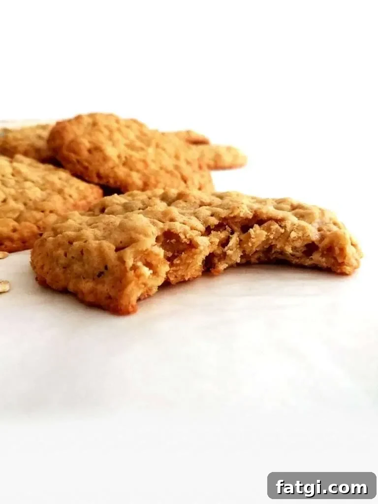 oatmeal cookies bitten head on view