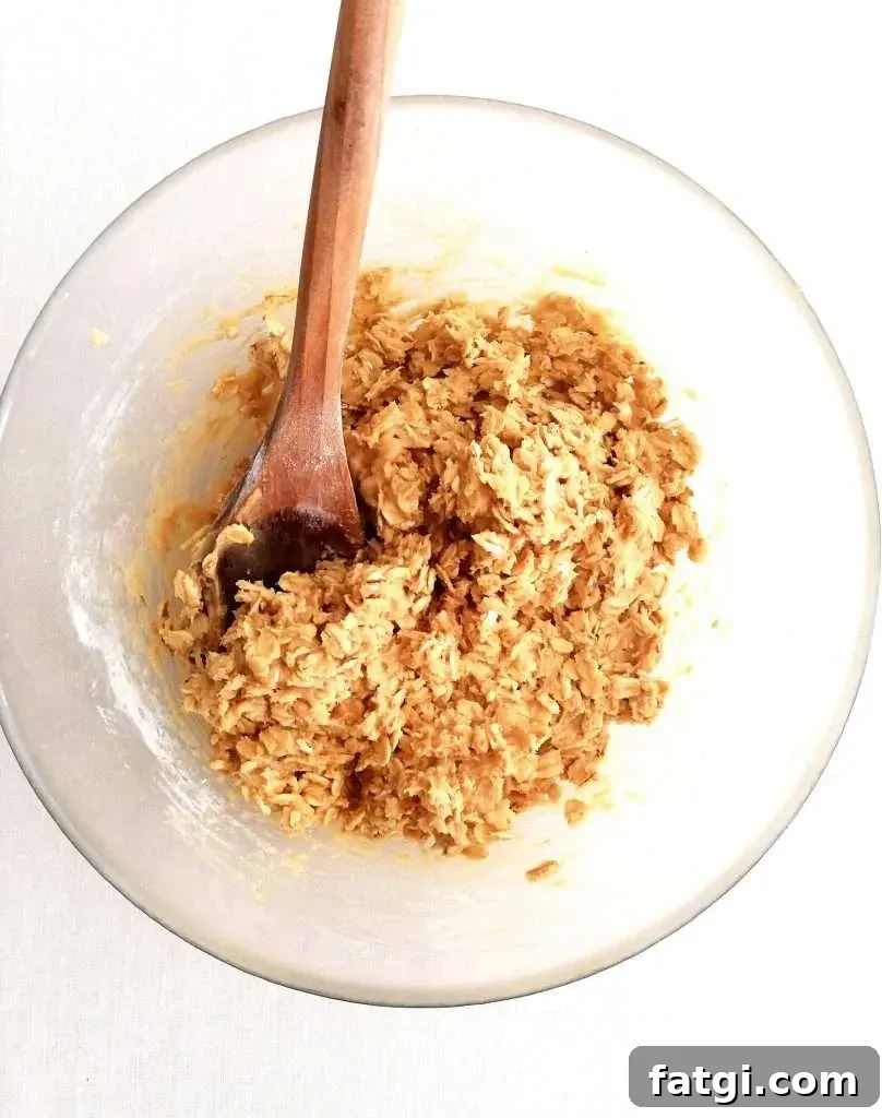 oatmeal cookie dough in bowl overhead image
