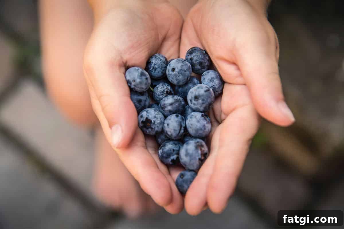 hand holding fresh blueberries