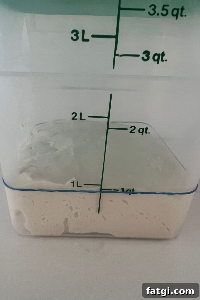 Sourdough bread dough inside a Cambro Container with a green lid. There is an elastic band marking the level of the dough.