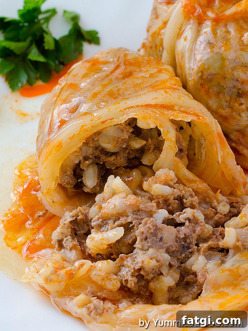 Cabbage rolls with pork