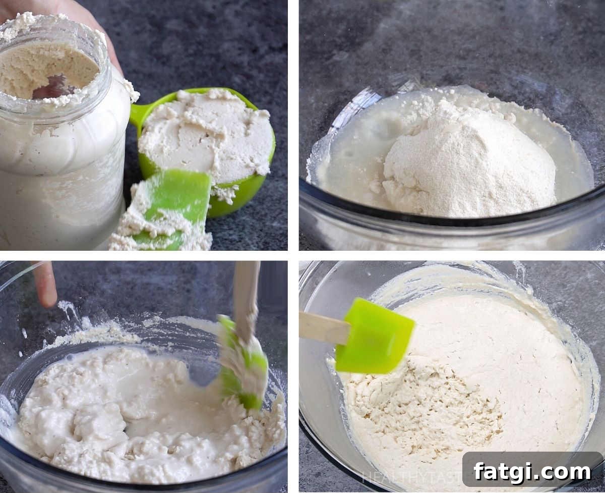 Gluten free sourdough starter activation process before making gluten free bread dough.