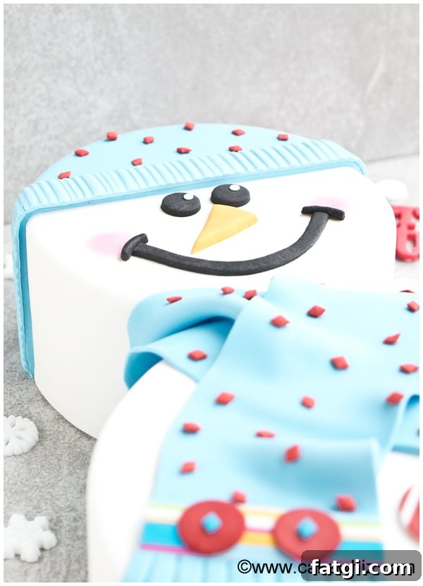 Angled Shot of Winter Cake on Gray Background