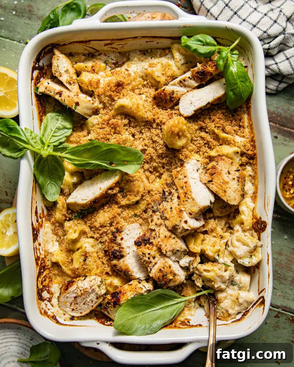 asiago tortelloni alfredo with grilled chicken in a baking dish garnished with fresh herbs and topped with sliced grilled chicken.