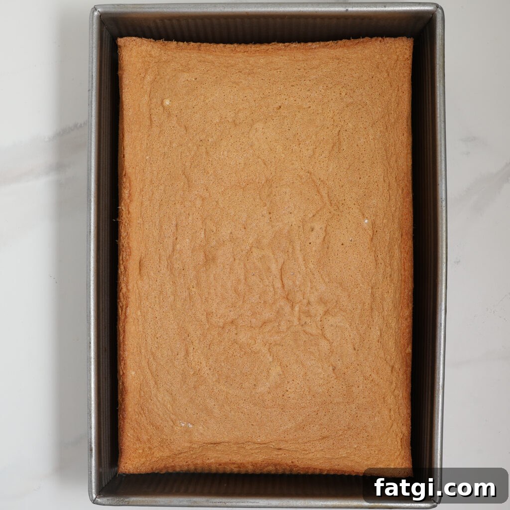 A golden-brown Sponge Cake sits in a metal baking pan on a light-colored surface. The square cake features a slightly uneven texture on top and neatly baked edges.