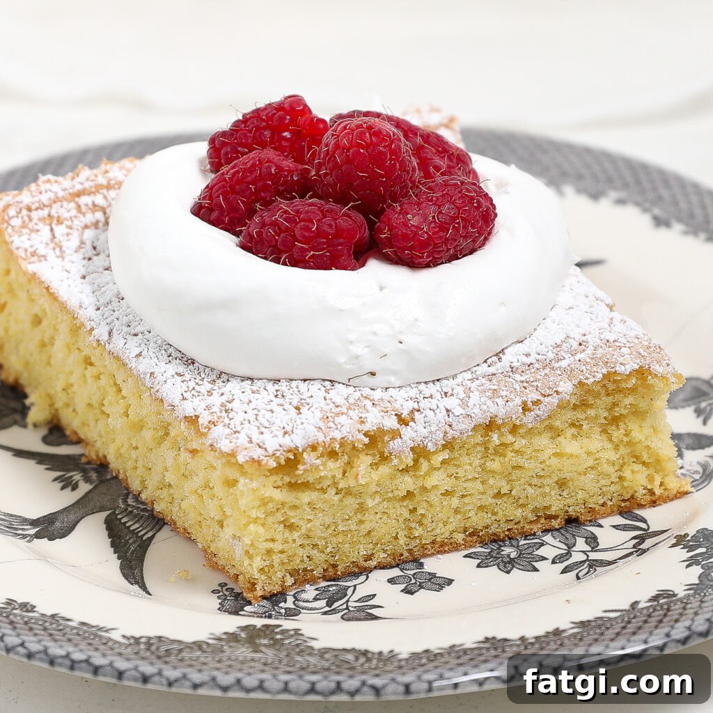 A slice of classic sponge cake topped with a swirl of whipped cream and fresh raspberries, served on a decorative black and white plate.