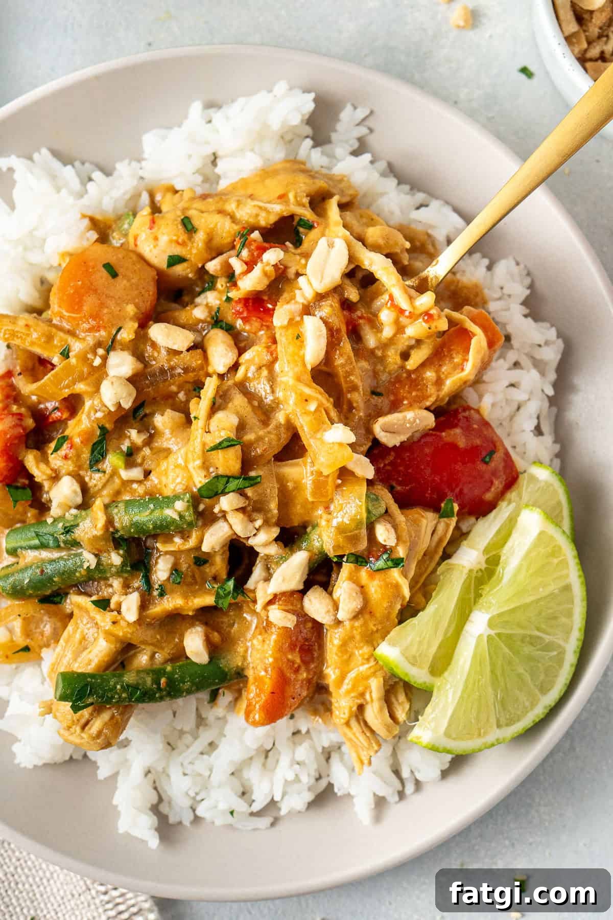Close up of the satay chicken served over rice with lime.