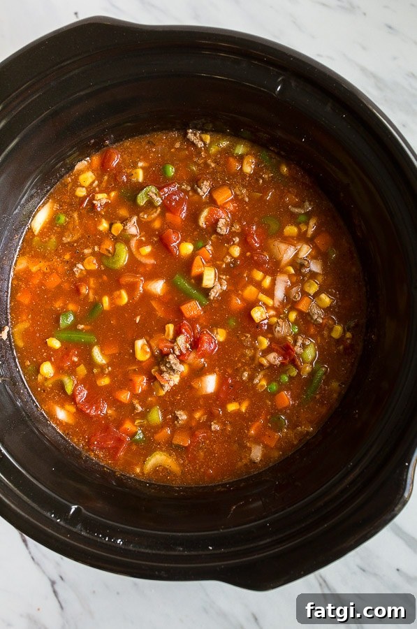 crockpot vegetable soup with beef