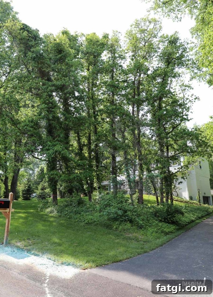 Front Yard Landscaping: Before and After Photos 2 Front Yard Landscaping: The Before #landscaping #frontyard #exterior