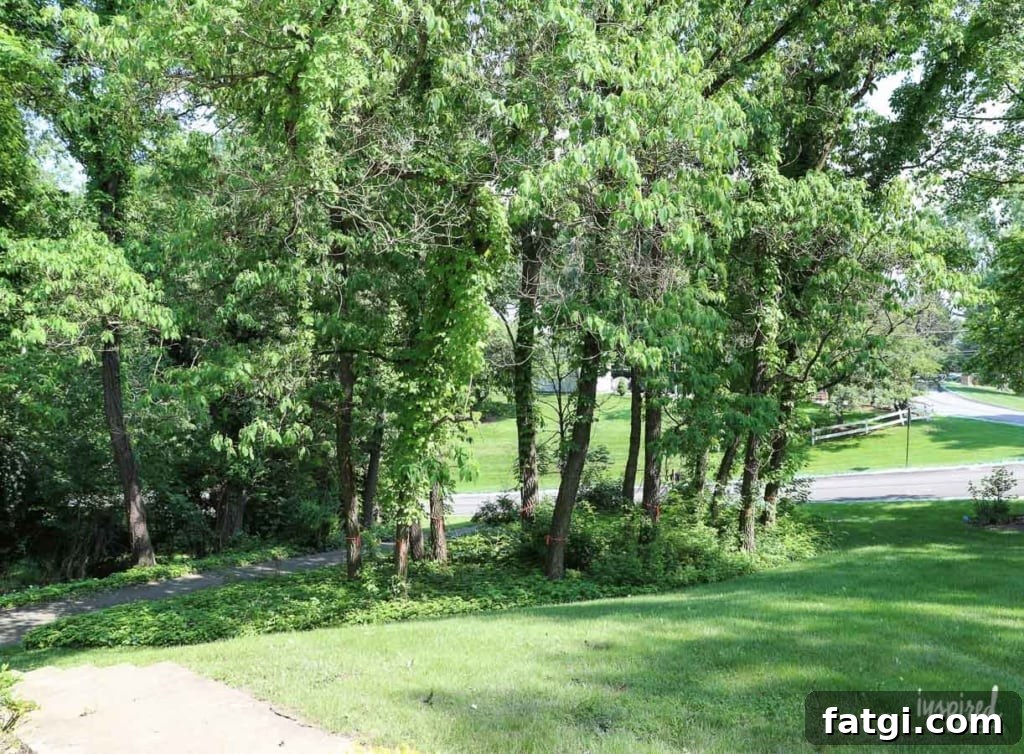Front Yard Landscaping: Before and After Photos 4 Front Yard Landscaping: The Before #landscaping #frontyard #exterior
