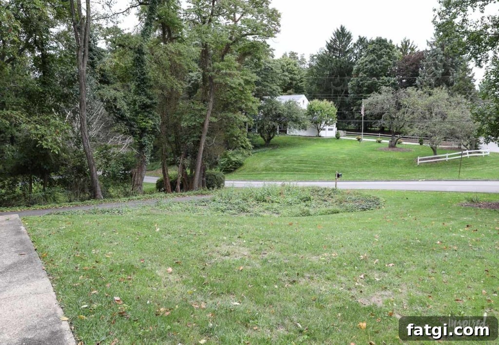 Front Yard Landscaping: Before and After Photos 5 Front Yard Landscaping: The Before #landscaping #frontyard #exterior