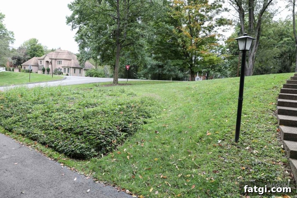 Front Yard Landscaping: Before and After Photos 7 Front Yard Landscaping: The Before #landscaping #frontyard #exterior