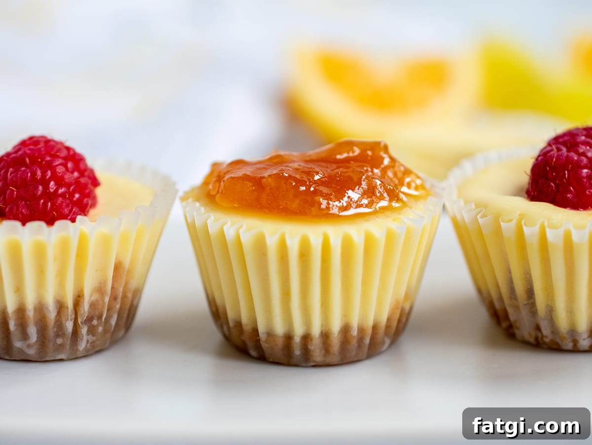 Close up of baked and topped cheesecake bites on a white plate.