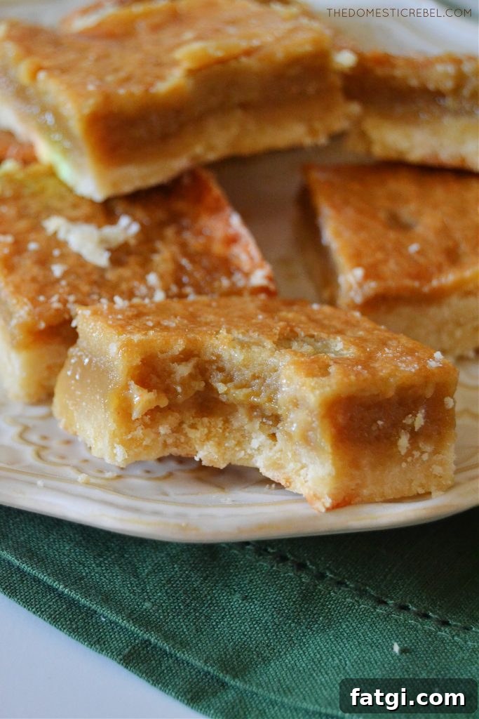 Sugar Pie Bars with Buttery Shortbread Crust 6 a closeup of a sugar pie square with a bite missing from it