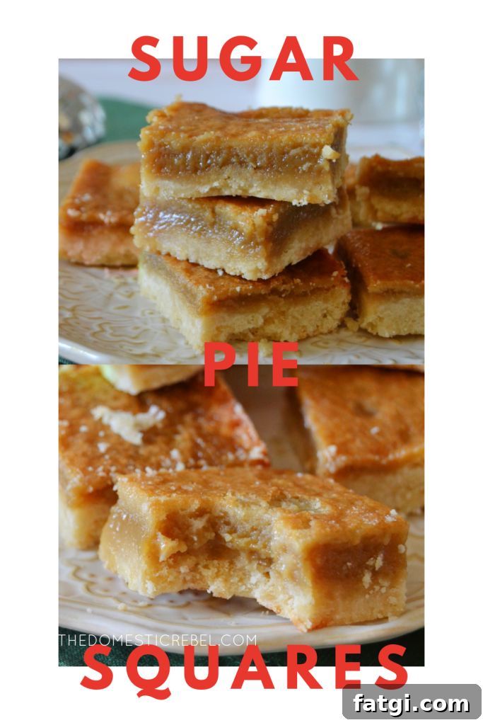 Sugar Pie Bars with Buttery Shortbread Crust 8 sugar pie squares photo collage