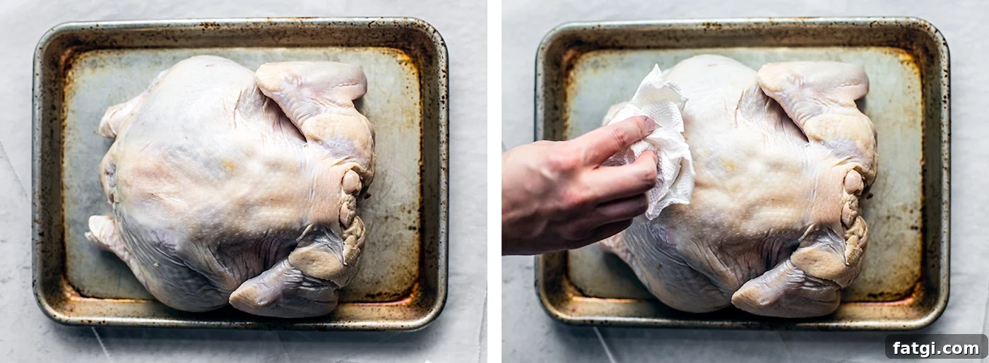 How to Spatchcock a Chicken: Step-by-Step Video 3 Baking sheet with whole chicken being pat dry with paper towels.