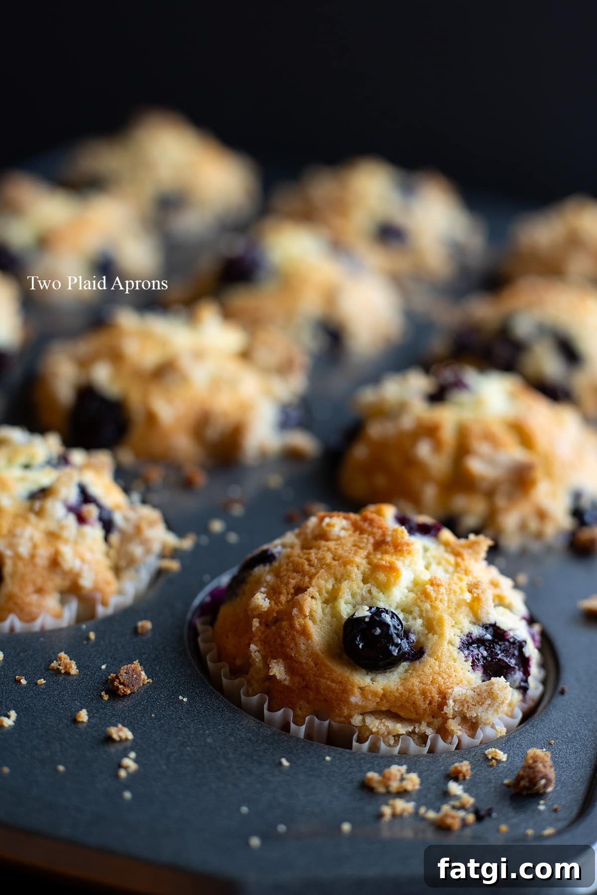 Stored dairy free blueberry muffins