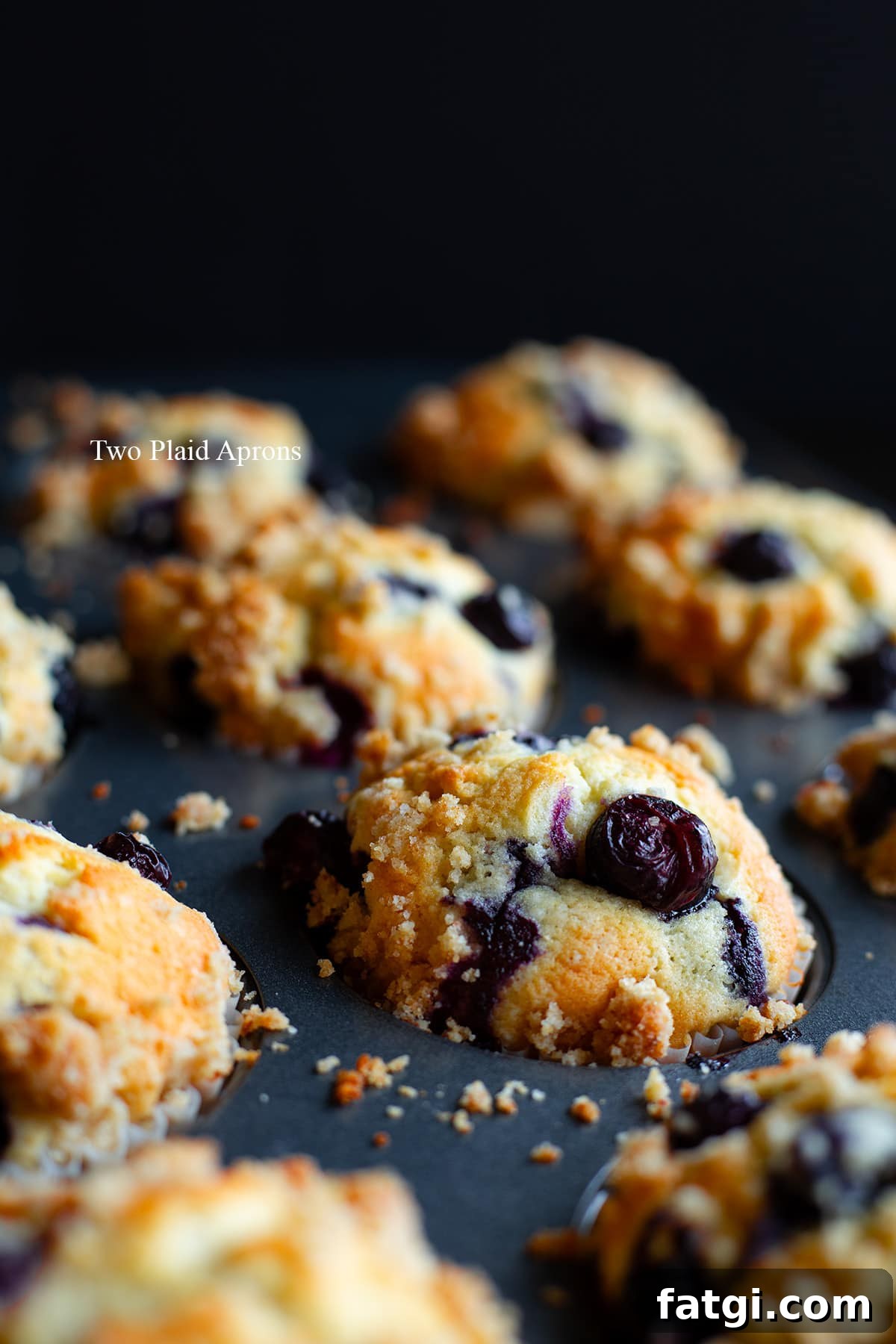 Fresh dairy free blueberry muffins