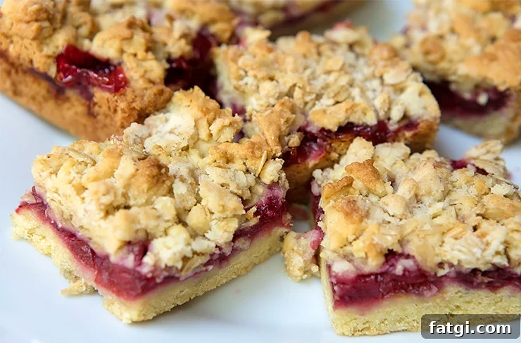 Strawberry Rhubarb Bars with Buttery Oat Crust 4 img 26817 3