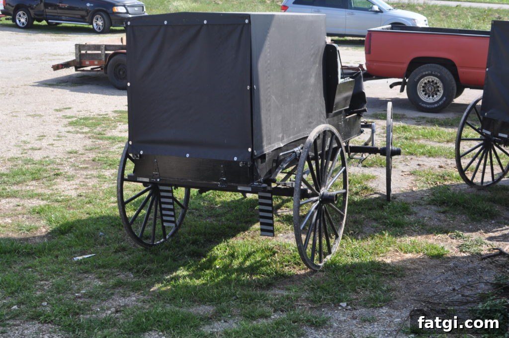 Amish buggy near the Scioto Valley Produce Auction