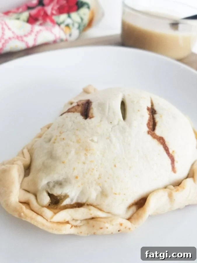 meat hand pie on plate