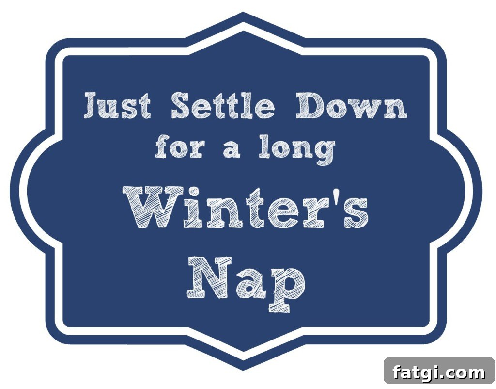 Printable Winter Nap Gift Tag - Settle Down Design 4 blanket tag