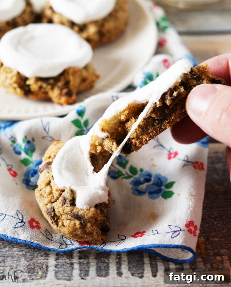Soft and chewy s'mores cookies