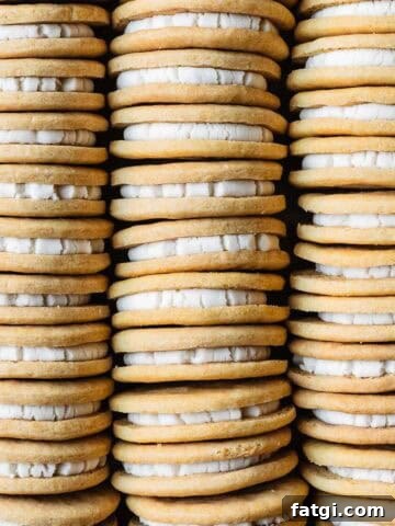 Three rows of vanilla sandwich cookies stuffed with vanilla creme.