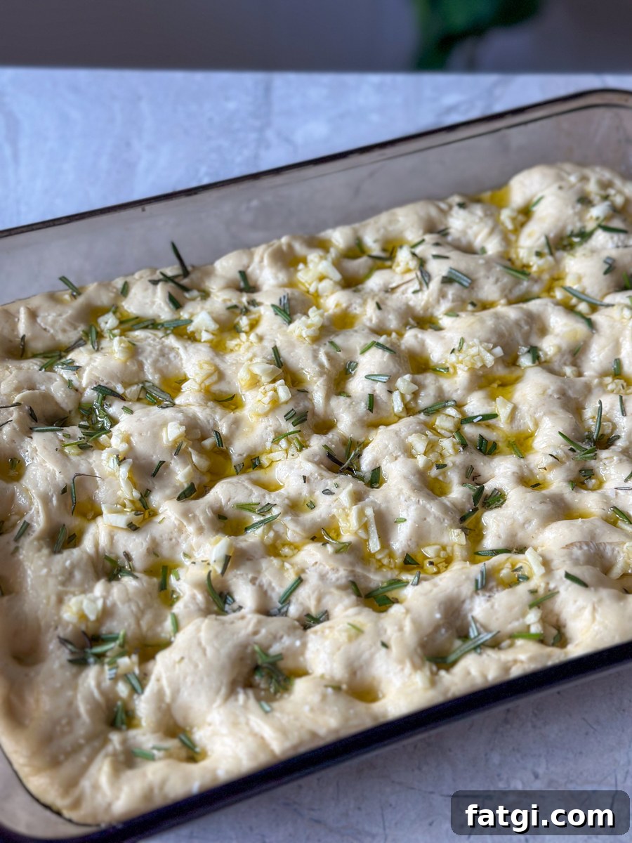 focaccia sandwich ingredients