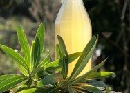 Fermenting Revolution IV: How to Make Tej, Ethiopian Honey Wine