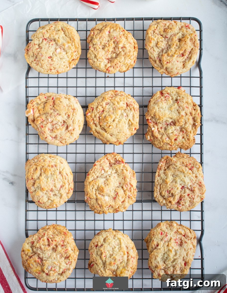 Candy Cane Cream Cheese Cookies, on cooling rack