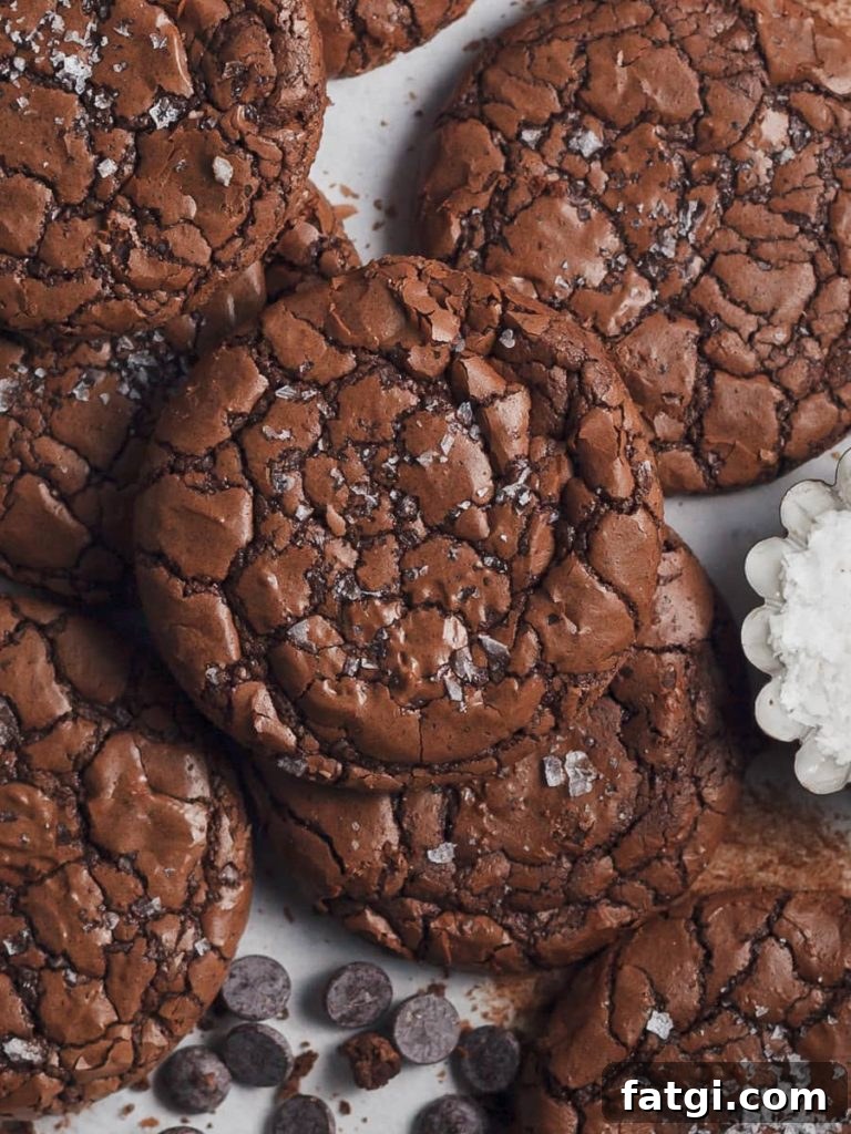 Chewy Gluten-Free Fudge Brownie Cookies 2 Gluten Free Fudge Brownie Cookies — crinkle top and fudgy center