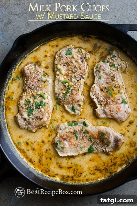 Juicy Pork Chops Braised in Milk with Mustard Sauce Juicy Pork Chops Braised in Milk with Mustard Sauce in a cast iron skillet