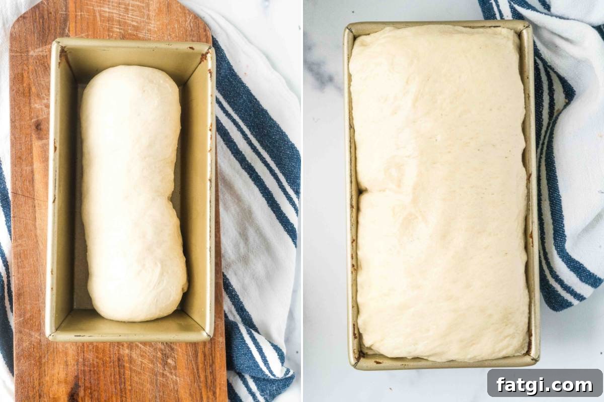 Overnight Sandwich Bread Recipe with Minimal Kneading 7 shaped bread dough before and after rising.