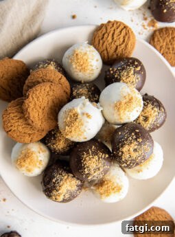 gingerbread truffles on a plate with gingerbread cookies.